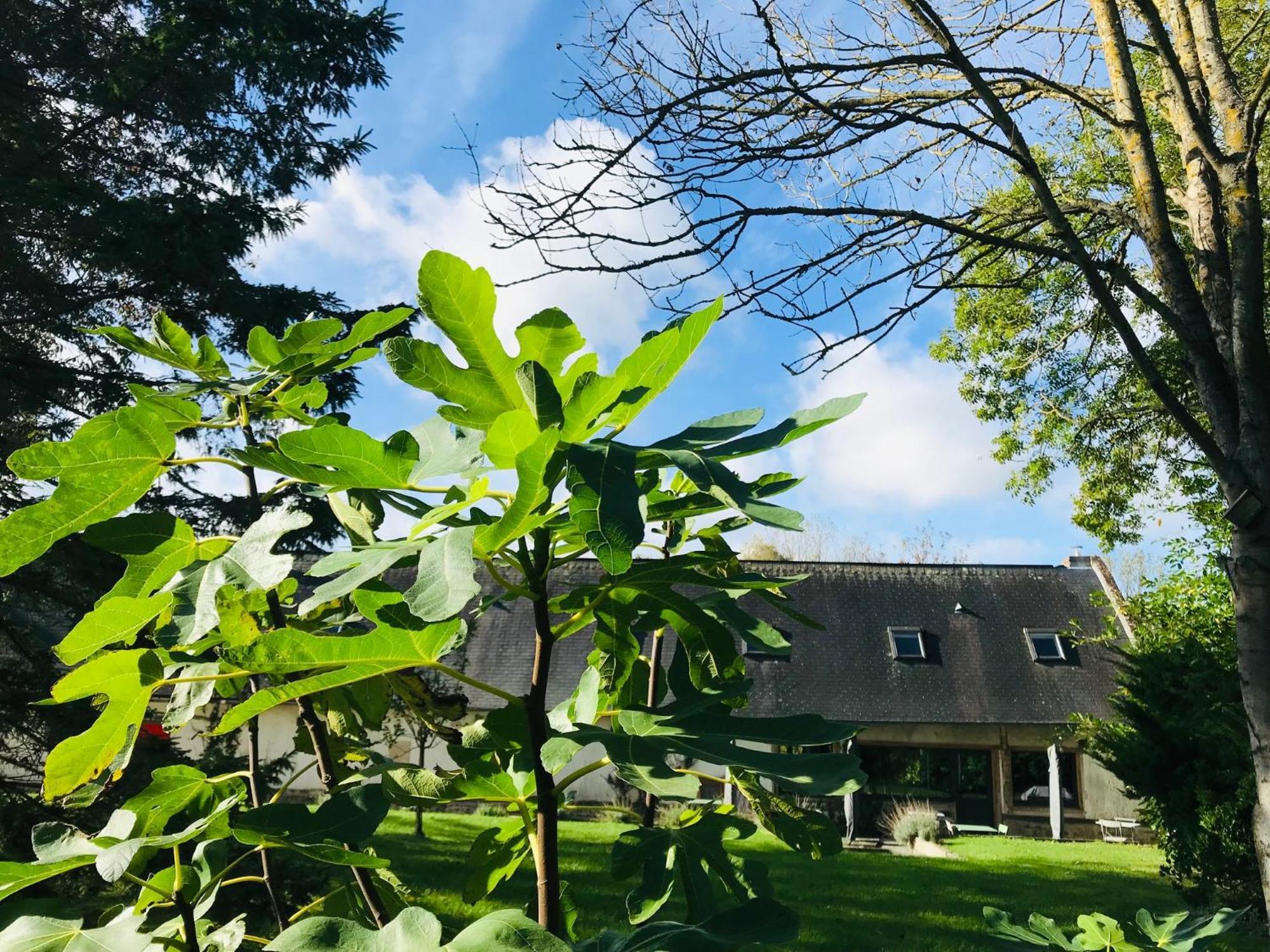 Rouge Cottage Gite 4 Etoiles Billard Gueutteville-les-Gres Eksteriør billede